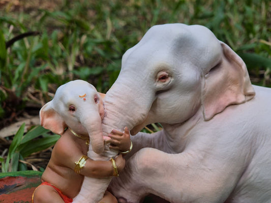 Aai  11.5x6" base 4.5" height