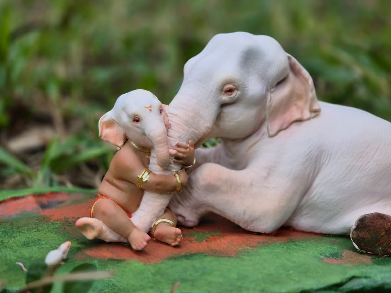 Aai  11.5x6" base 4.5" height