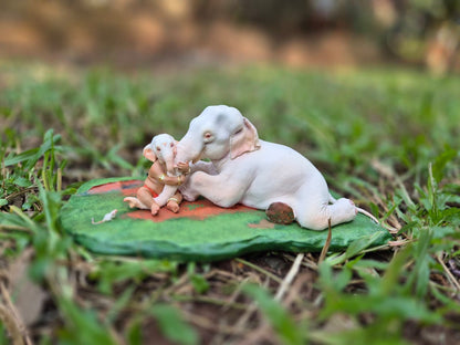 Aai  11.5x6" base 4.5" height