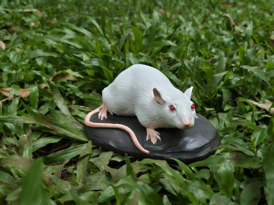 Rat (fiber), 5.5"